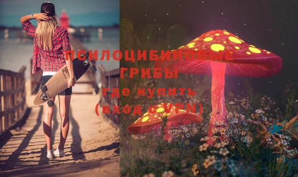 гидра Белокуриха