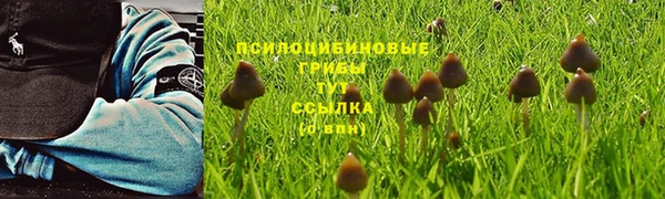 гидра Белокуриха