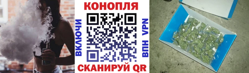 Конопля гибрид Горнозаводск